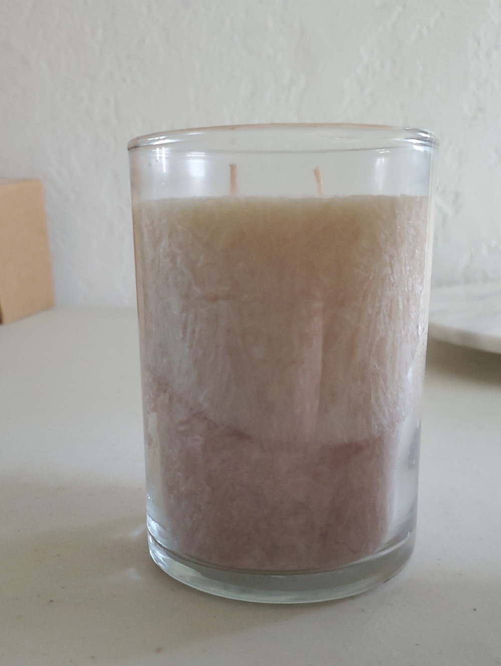 Sandy Beach two tone textured Palm Candle 2 wicks Home Interiors New retired